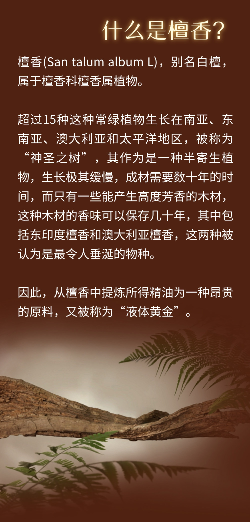 1704434669329890.png 2-2.png