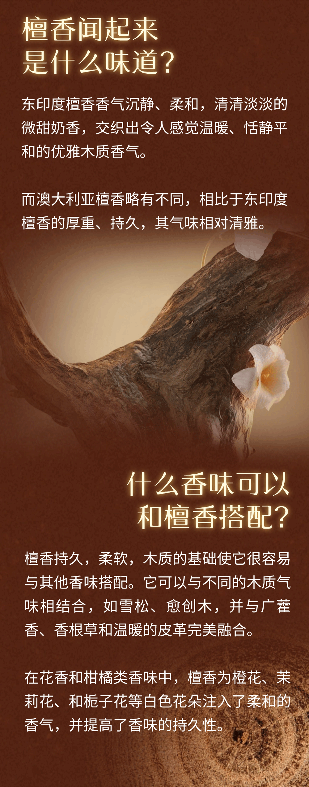 1704434674886475.png 2-3.png